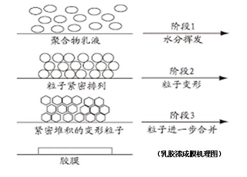 乳胶漆成膜机理