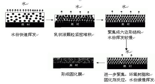 亮豹隔离漆的成膜机理